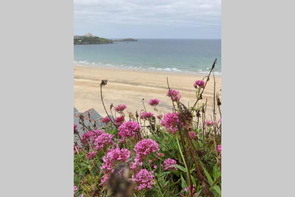 Beautiful 3 Bedroom Apartment By The Sea New Quay Extérieur photo