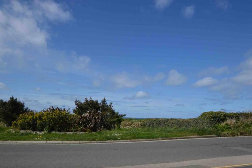 Beautiful 3 Bedroom Apartment By The Sea New Quay Extérieur photo